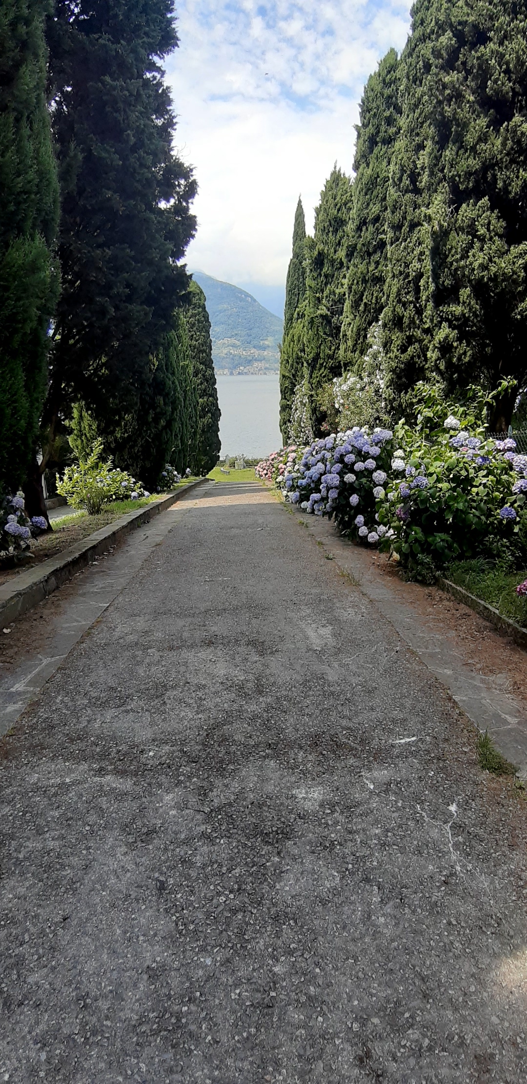 12_Strada di camminamento verso il lago